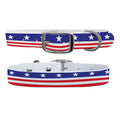 Americana Throwback Dog Collar